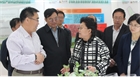 市委副書記、代市長(zhǎng)艾麗華來我公司考察、調(diào)研