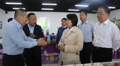 內蒙古自治區(qū)黨委副書記、自治區(qū)主席布小林蒞臨公司視察工作